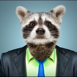 Meet your Posher, Frank